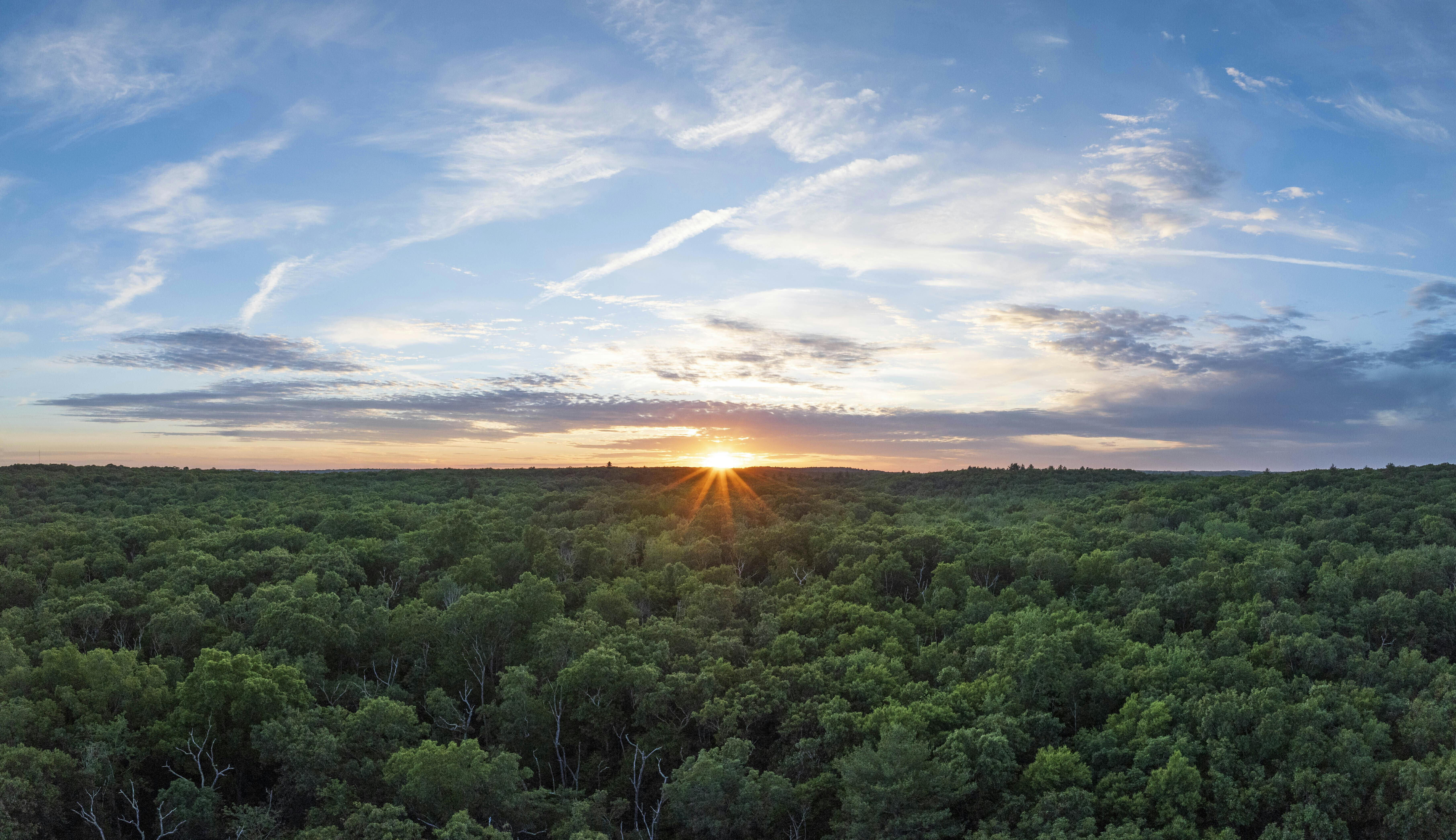 The Nature Conservancy’s Remarkable New Acquisition